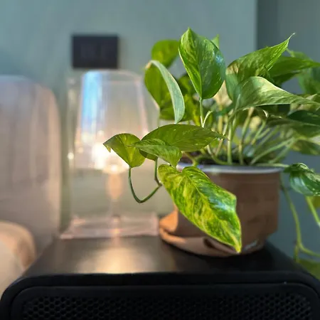 Da Vittoria-lovely With A View, Near The Arena *