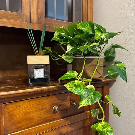 Da Vittoria-lovely With A View, Near The Arena Lejlighed